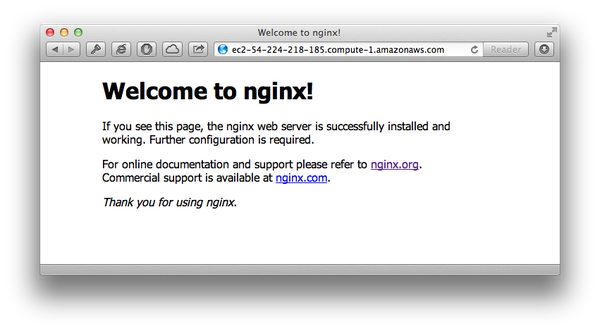 nginx
