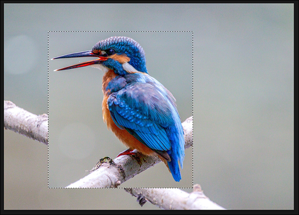10-selectively-flipped-photo-photoshop