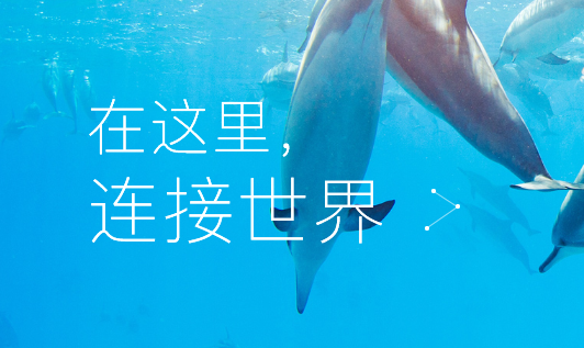 企鹅号“原创标签”功能开通流程简化，企鹅号开通原创