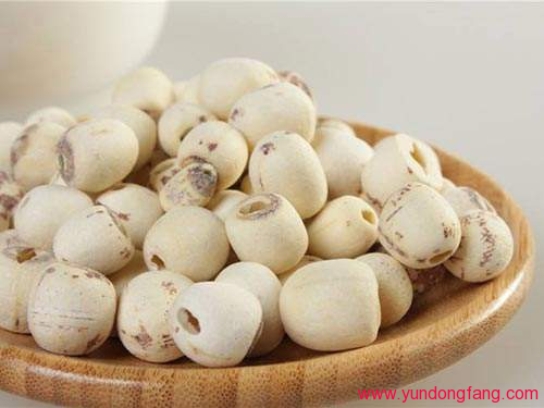 “白莲宝宝”有什么与众不同