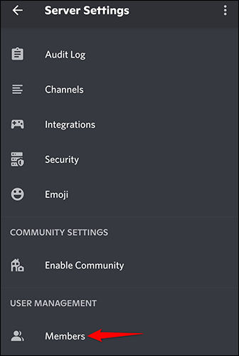 11-members-discord-mobile