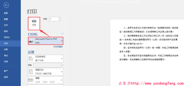 Microsoft Print to PDF