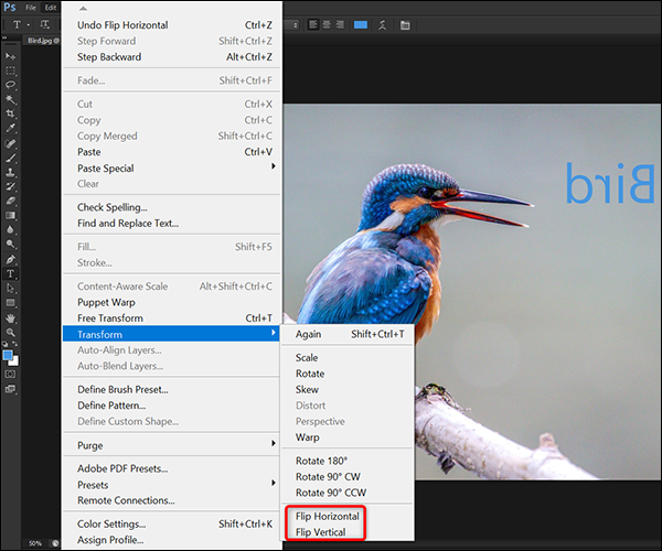 12-flip-layer-photoshop