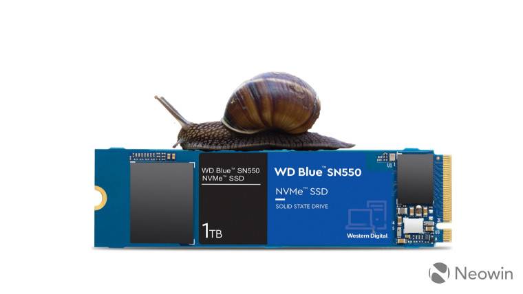 1629793348_sn550_with_snail_story