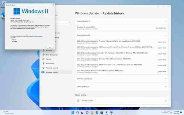 1660074938_build_22621.382_winver_source-_steve_story