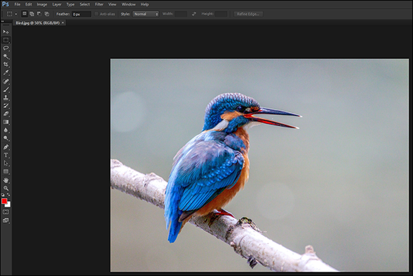 2-photo-in-photoshop