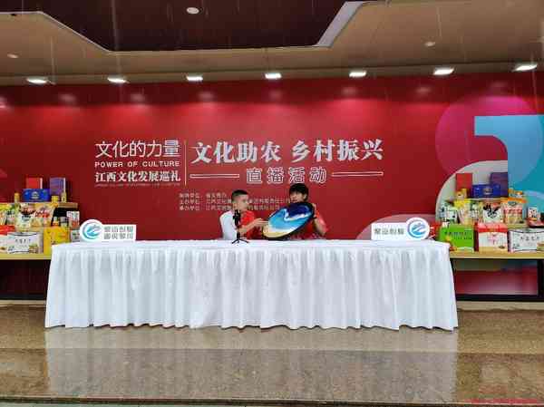 文化助农,乡村振兴 ——“黎画创服“走进省文化巡礼展现场直播带货