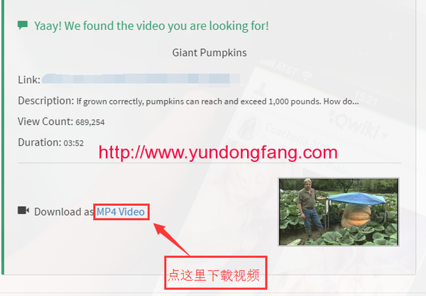 Twitter怎么下载视频， InstaDown是什么，有什么用？