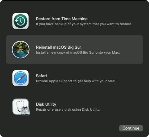 39445-75782-macOS-Big-Sur-Reinstall-xl