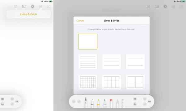 43083-83696-adding-lines-grids-ipad-xl