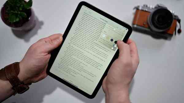 45547-88839-iPad-mini-Apple-Books-Settings-xl