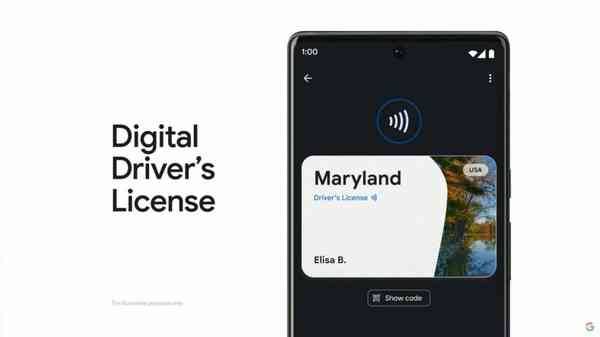 48386-94409-Digital-IDs-xl