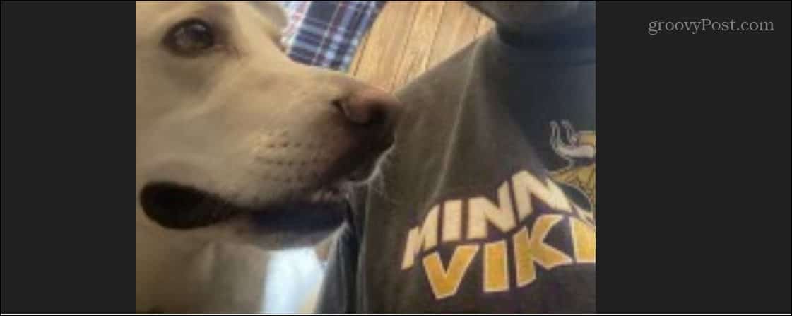 5-taskbar-autohide-windows-11 5-taskbar-autohide-windows-11