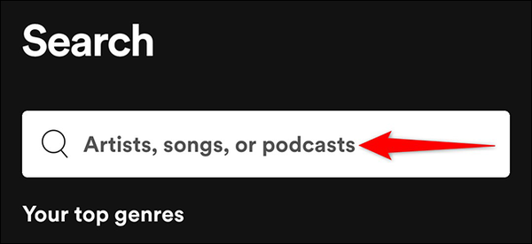 9-spotify-search-box