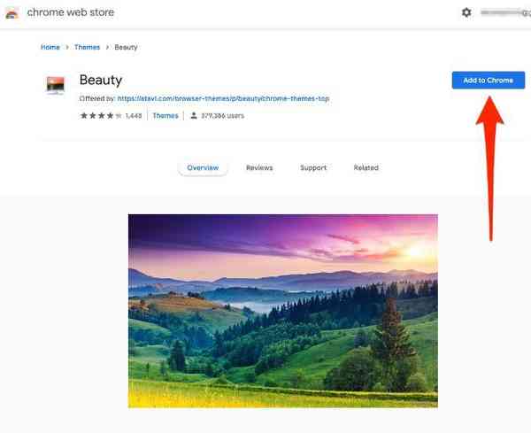 Add-to-Chrome-button-Google-Chrome-Web-Store-Theme