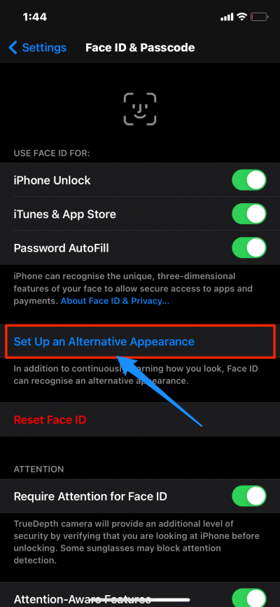 Add_Alternative_Face_ID-e1604391392122