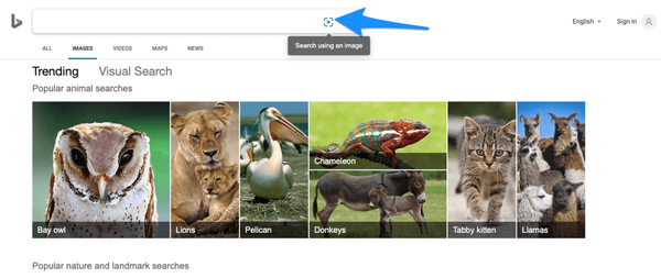 Bing_Reverse_Photo_Lockup_Search
