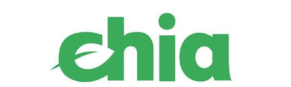 Chia P盘过程解释,新手觉得复杂的英文,解释的明明白白,Chia P盘教程