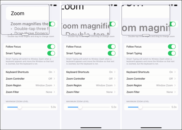 ChangeZoomLevel-iPhoneMagnifyApp ChangeZoomLevel-iPhoneMagnifyApp