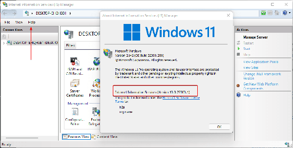 Check-Internet-Information-Services-IIS-version