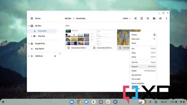 ChromeOS-Wallpaper-Settings-1 ChromeOS-Wallpaper-Settings-1