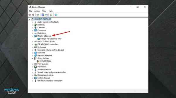 Click-on-the-Display-adapters-section.-1