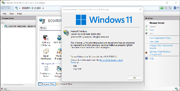 Command-to-install-IIS-manager-Windows-11