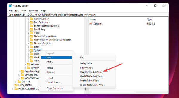DWORd-32-bit-value-option