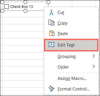 EditCheckboxText-ExcelBasicForm