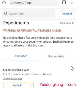 Enable-Download-later-flag