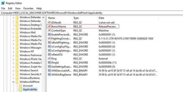 Enable-Windows-11-Dev-Channel-1
