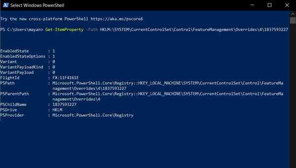Fix-KB5001330 Fix-KB5001330