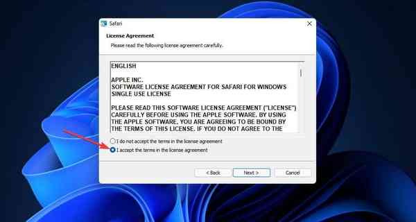 I-accept-the-terms-radio-button