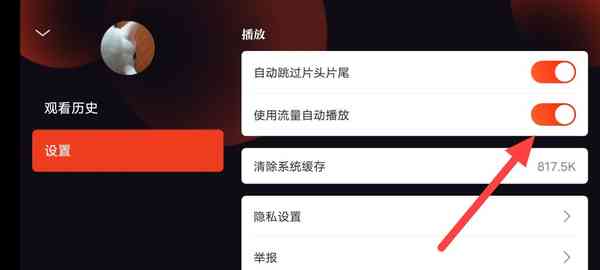 片多多怎么设置使用流量自动播放