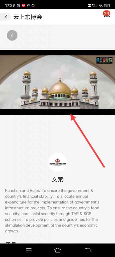 怎么查看东博会视频