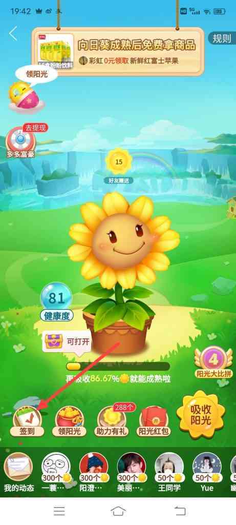 在拼多多种向日葵，怎么进行每日签到