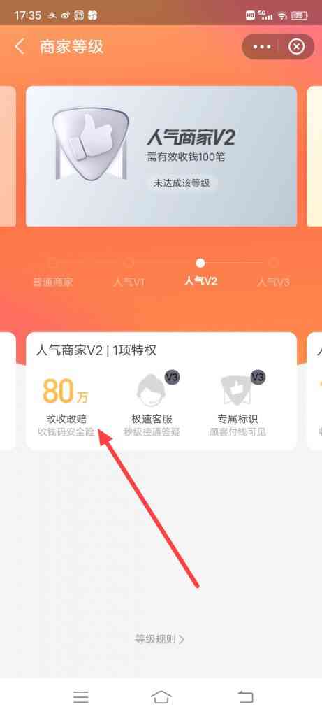 支付宝怎么查看商家特权