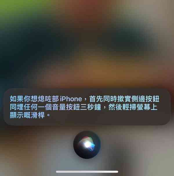 IMG_4317-1014x1024-1