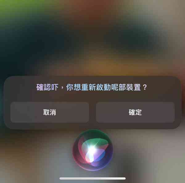 IMG_4327-1024x1013-1