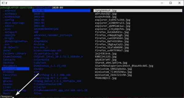 LF-search LF-search