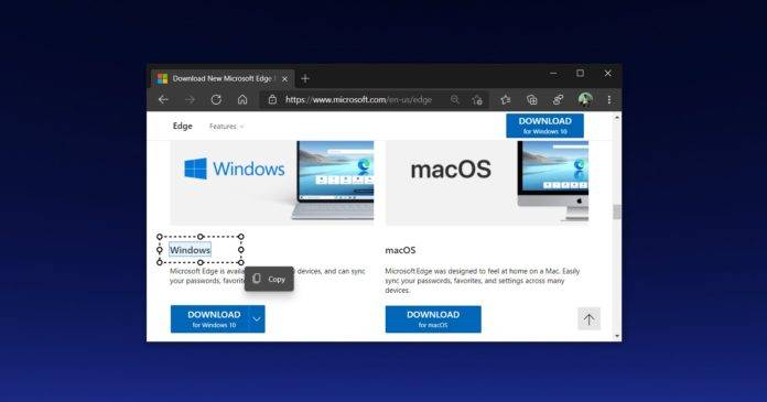 Microsoft-Edge-Smart-Copy-696x365-1
