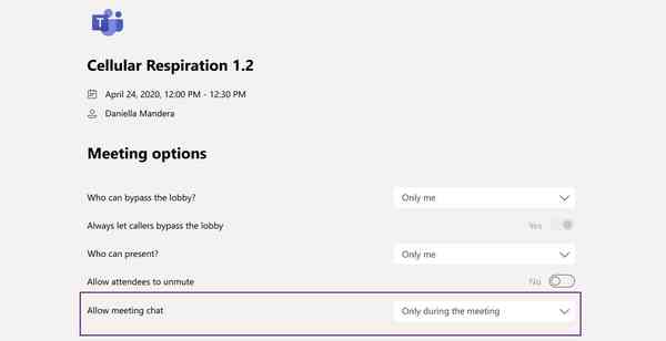 Microsoft-Teams-meeting-options-1