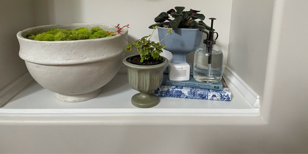 Onvis-Motion-sensor