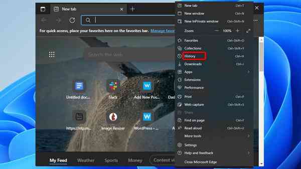 OsilSRW2fs OsilSRW2fs