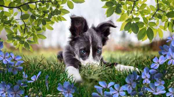 PSE_Peek-Through-Overlays-Guided-Edit