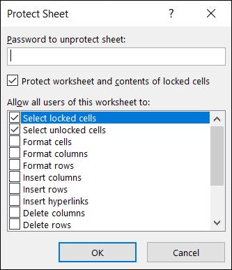 ProtectSheet-ExcelBasicForm