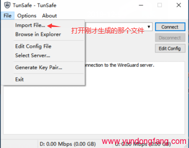 tunsafe怎么用，如何下载配置文件操作？
