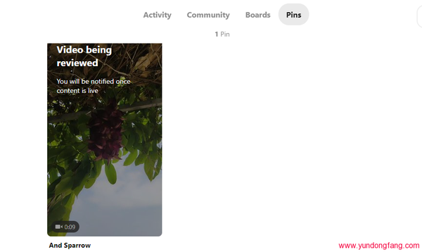 pinterest 如何发布视频，pinterest上传小视频的方法