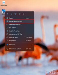 Runing-Outlook-as-an-administrator-from-the-Windows-desktop-232x300-1