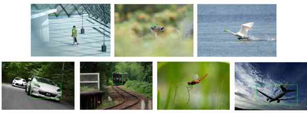 Sony-Alpha7R-V-2-1024x379-1